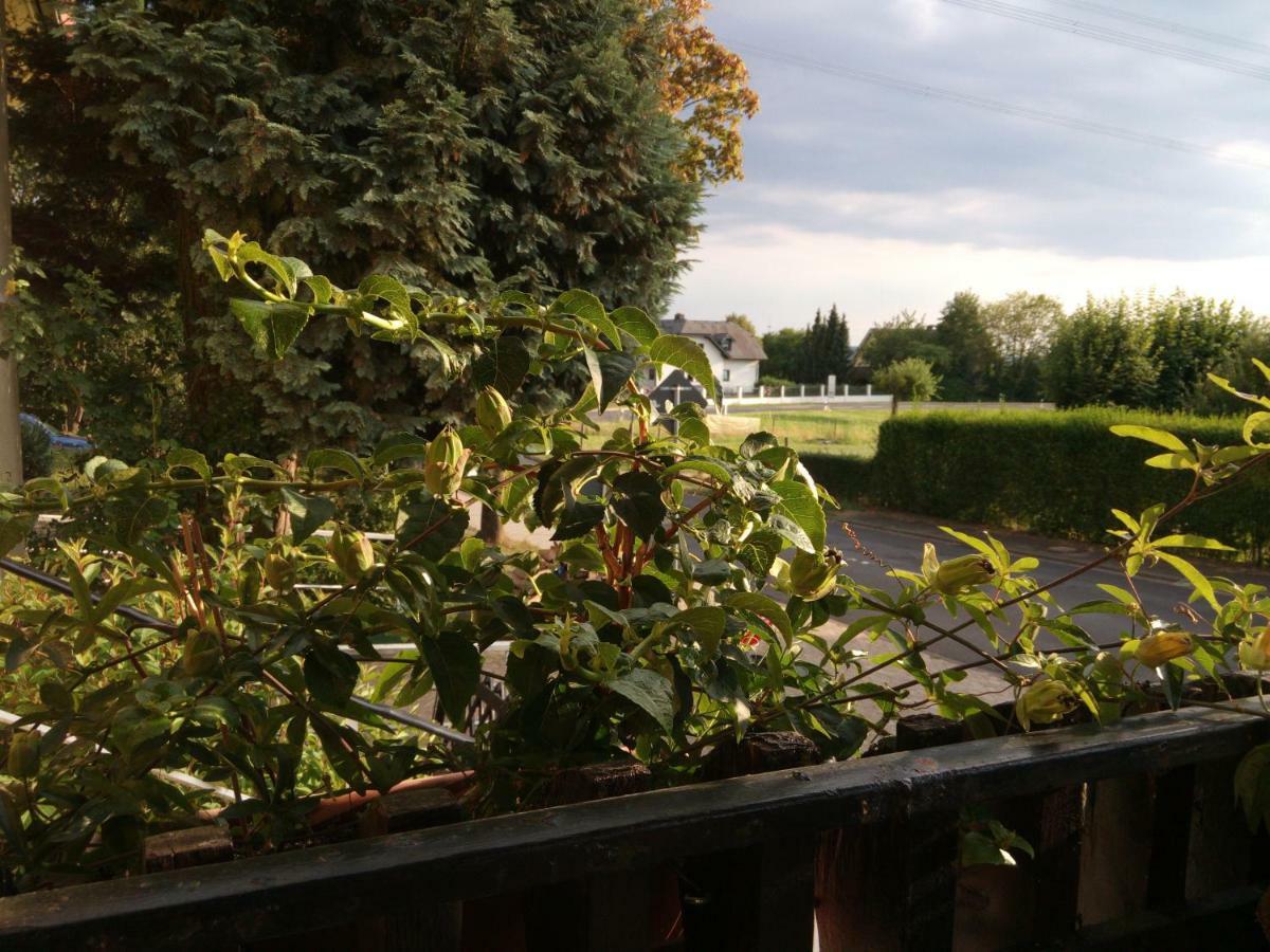 Hotel Pension Waldhof Зіммерн Екстер'єр фото